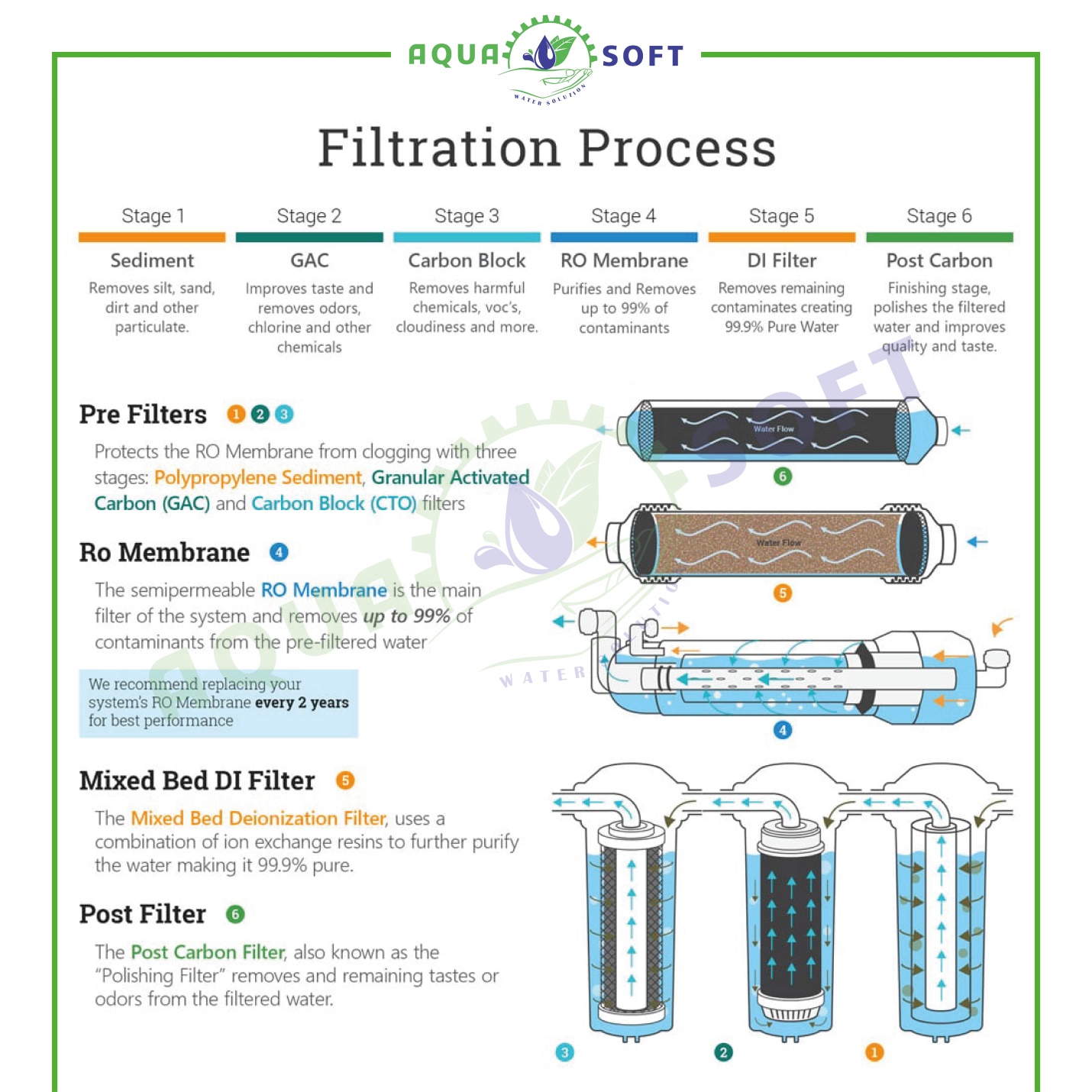 Aquarium-100-GPD-cat-02