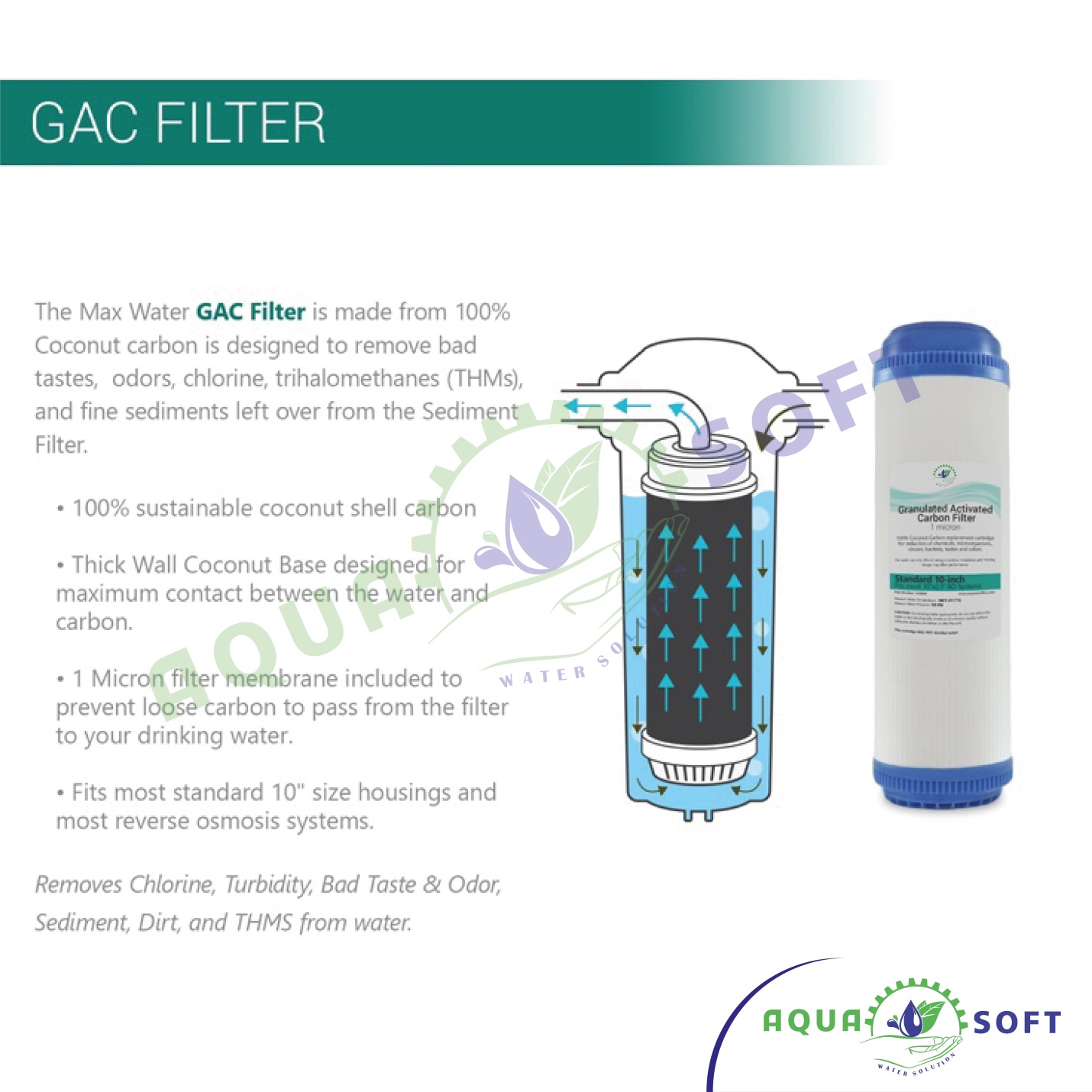 Aquarium-100-GPD-cat-04