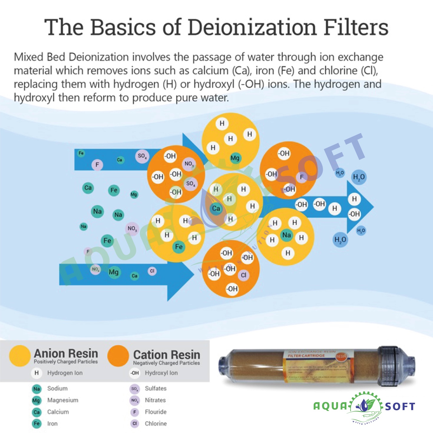 Aquarium-100-GPD-cat-08